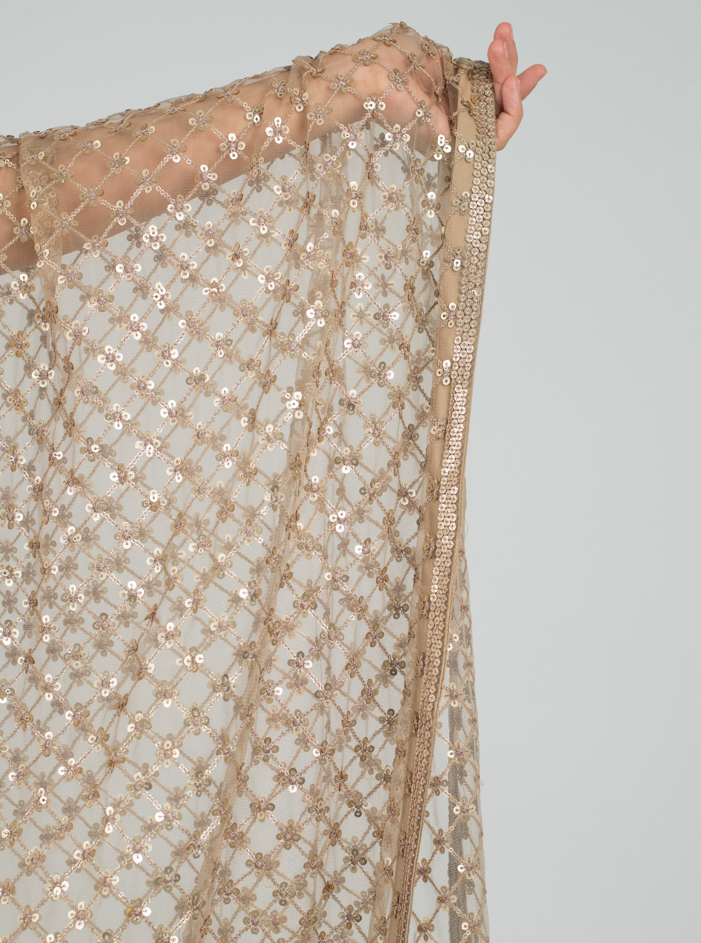 Taupe Coastal Saree