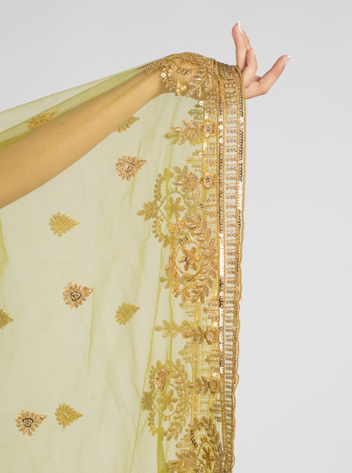 Mehendi Marina Dupatta