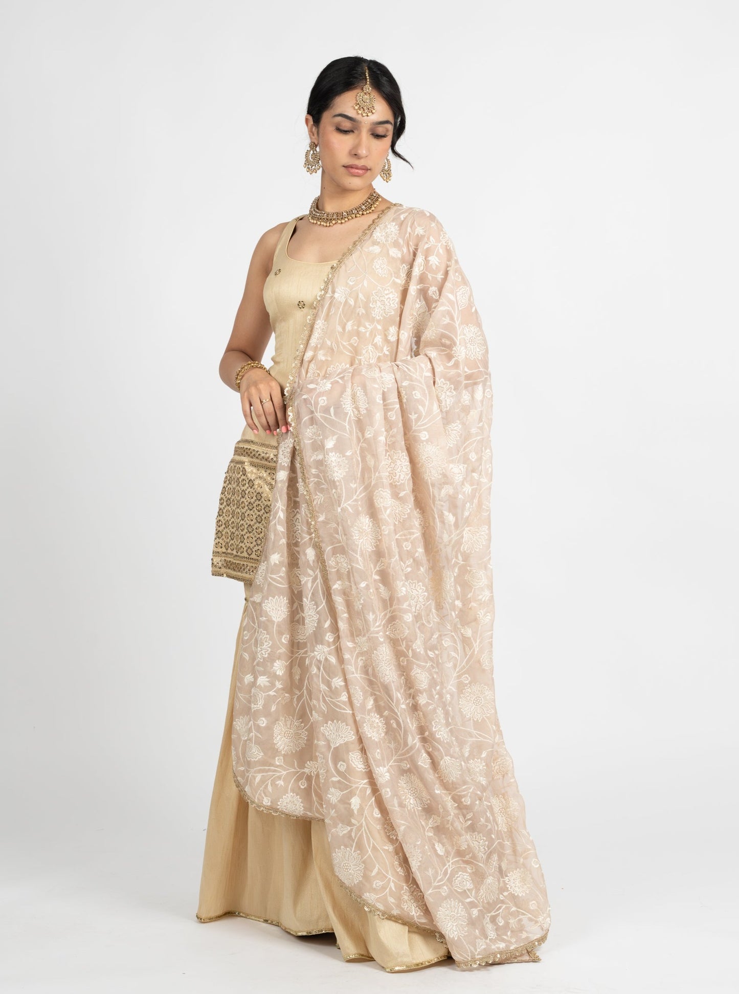 Champagne Mahal Dupatta