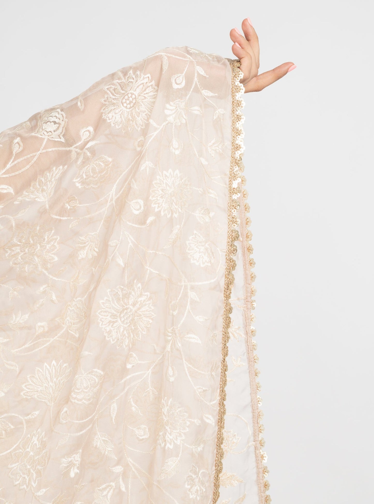 Champagne Mahal Dupatta