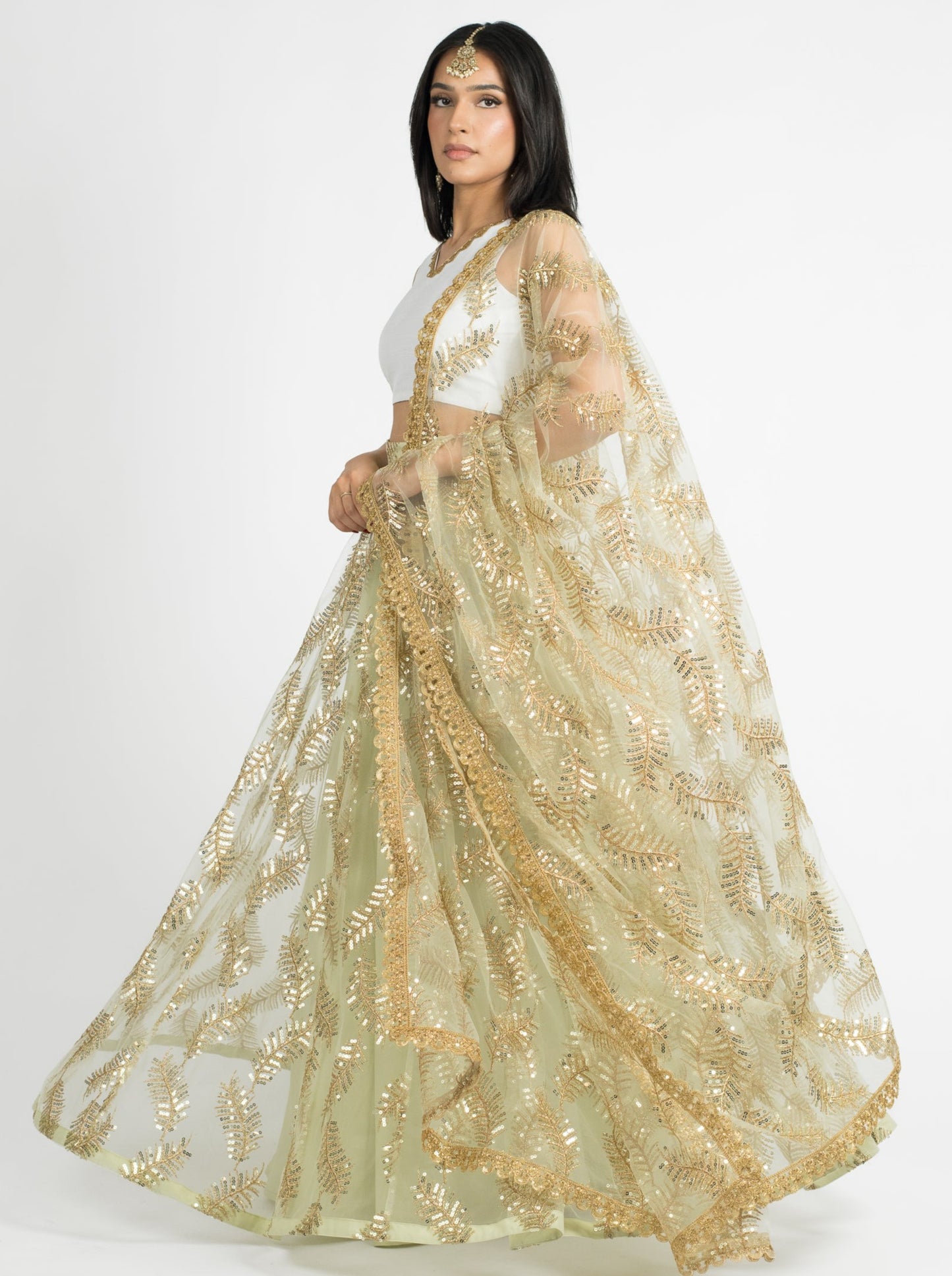Pistachio Fern Dupatta