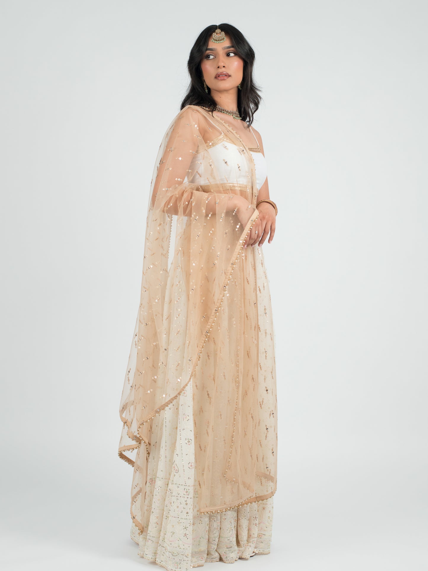 Champagne Palace Dupatta