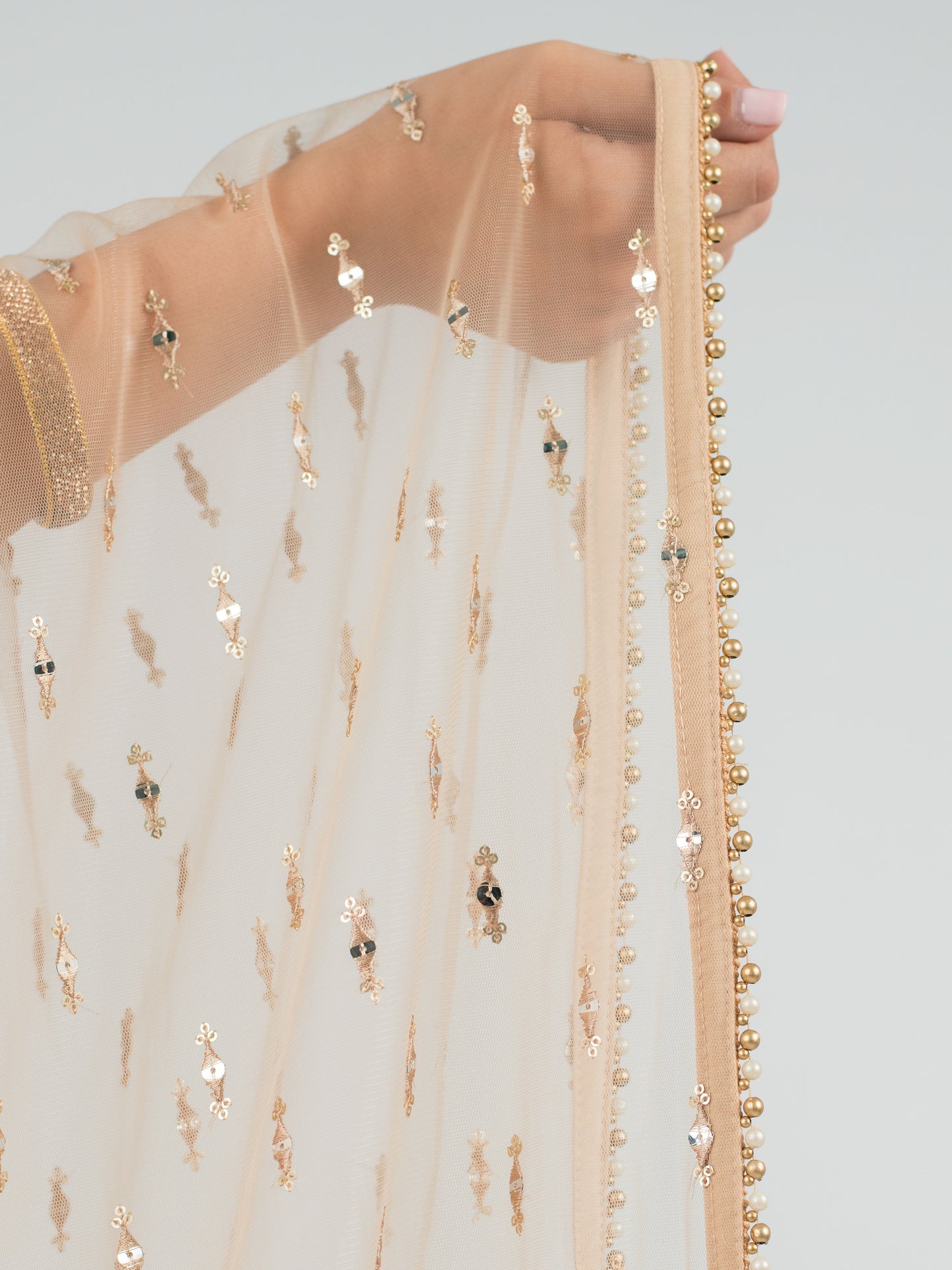 Champagne Palace Dupatta
