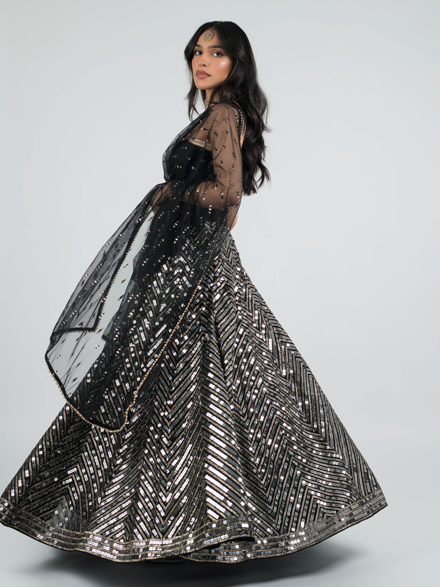Black Palace Dupatta