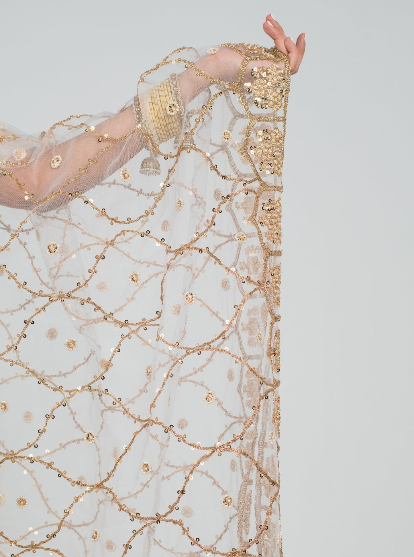 Champagne Renaissance Dupatta
