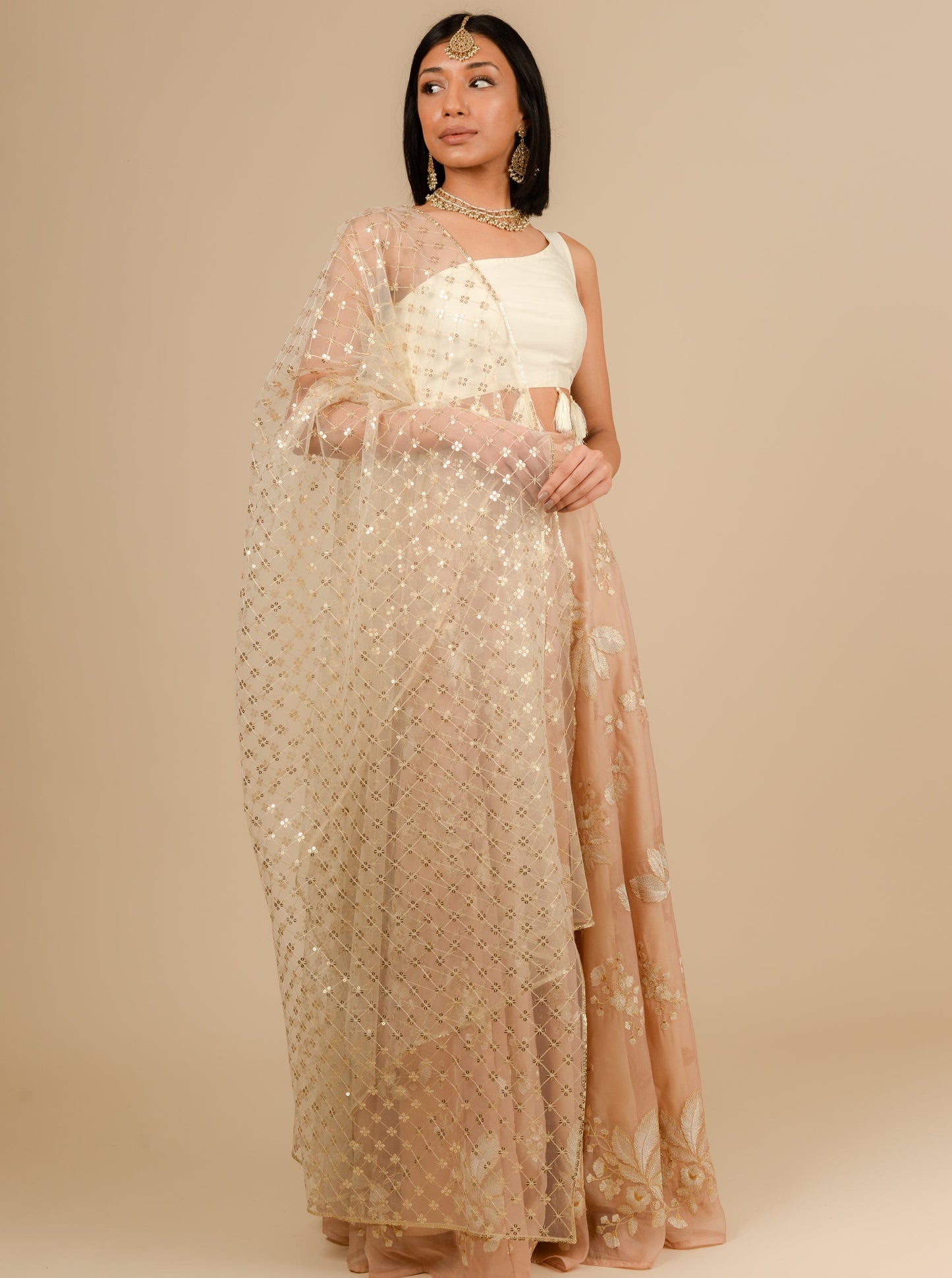 Gold Tara Dupatta