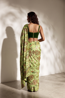 Fern Noor Saree