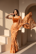 Amber Noor Saree