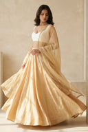 Champagne Gleam Skirt