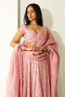 Petal Selena Dupatta