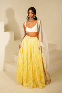 Lemon Pearl Skirt - The Saree Room