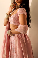 Petal Selena Dupatta