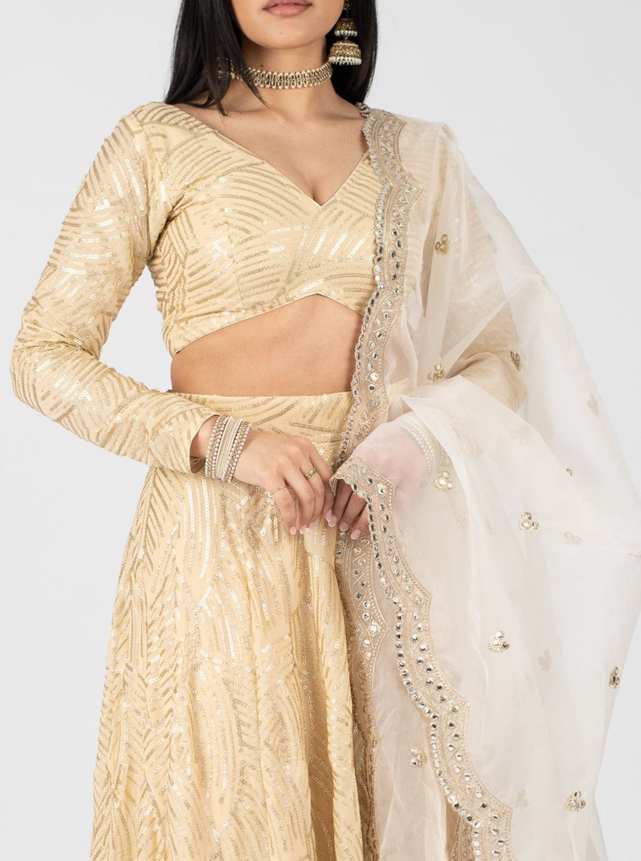 Cream Mirari Dupatta