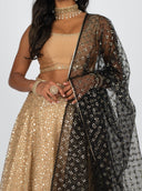 Black Tara Dupatta
