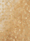 Champagne Tara Dupatta