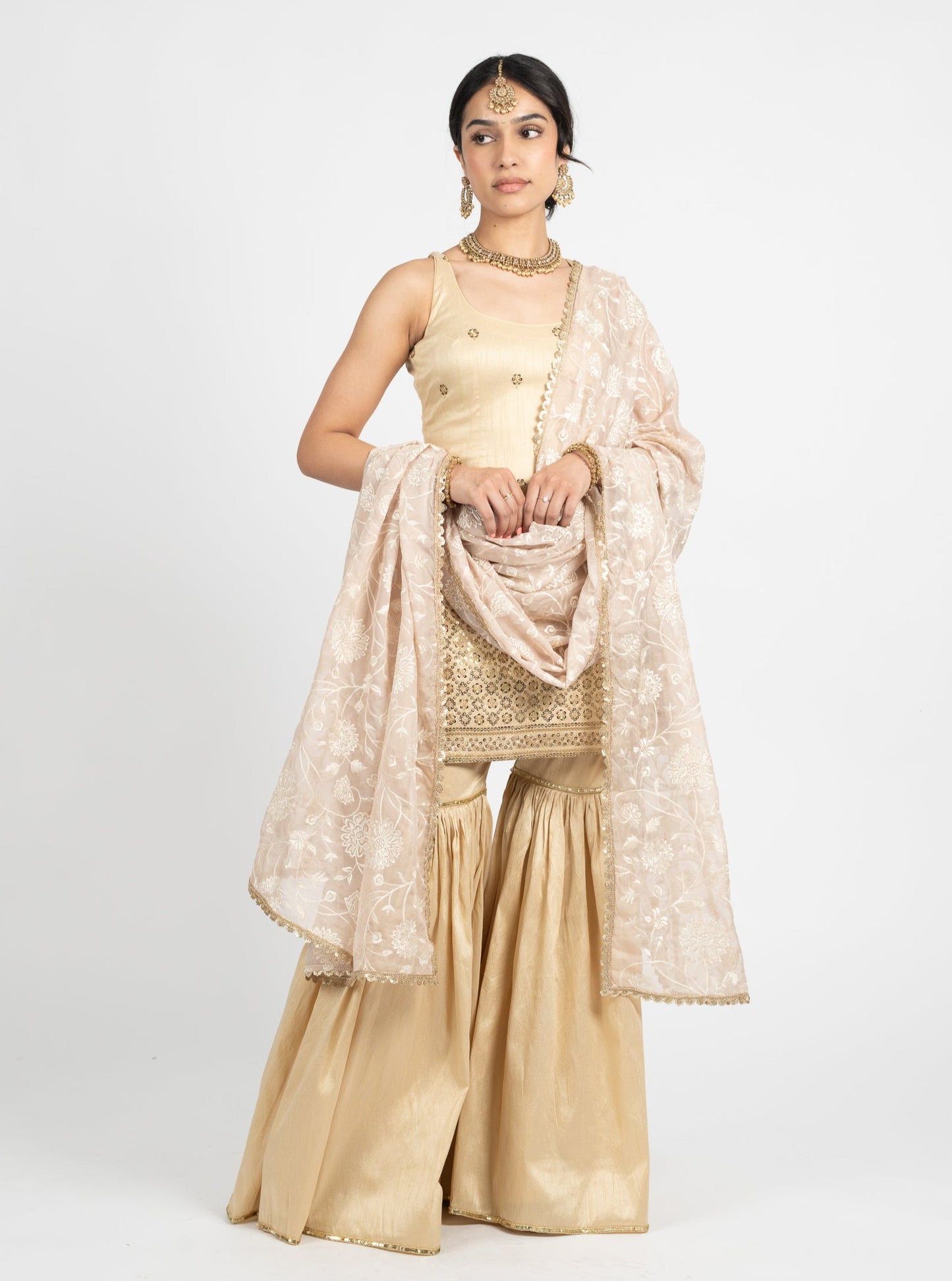 Champagne Mahal Dupatta