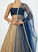 Navy Cluster Dupatta