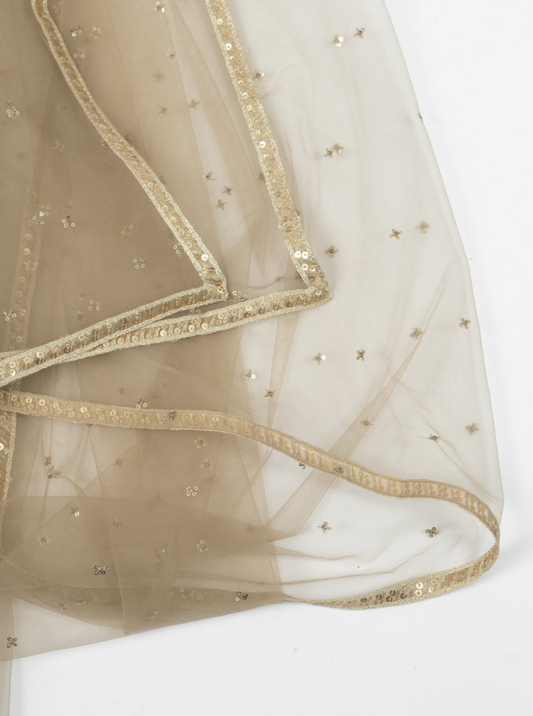 Taupe Cluster Dupatta