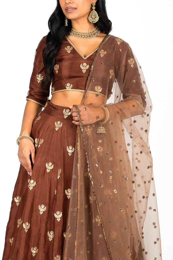 Brown Twilight Dupatta
