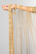 Taupe Sitara Suit and Dupatta