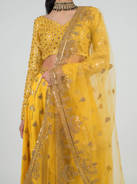 Yellow Marina Dupatta