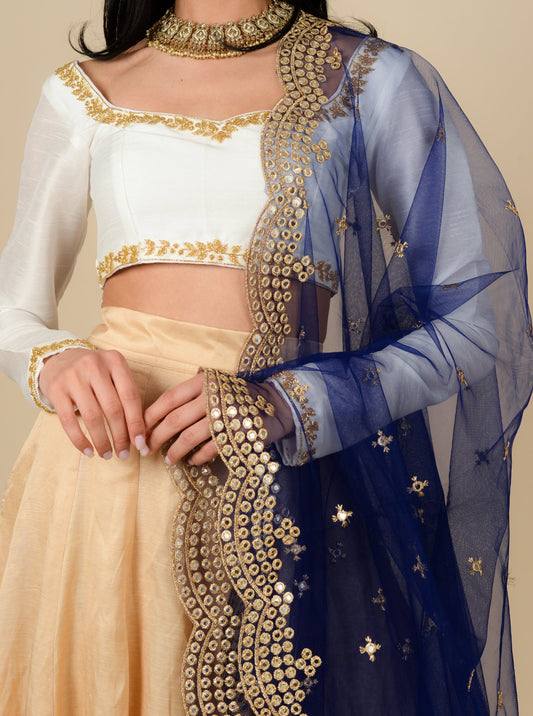 Blue Aaeena Dupatta